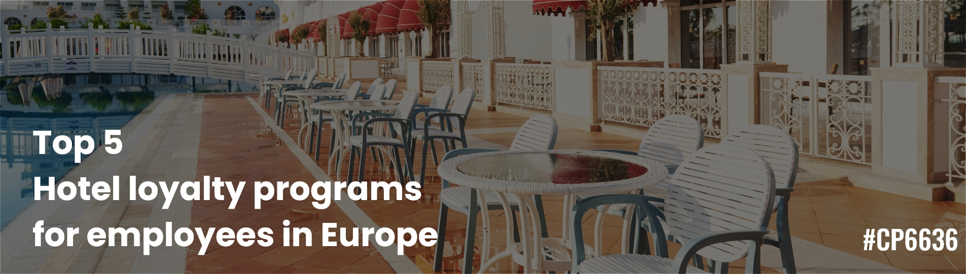 Best 5 Employee loyalty programs