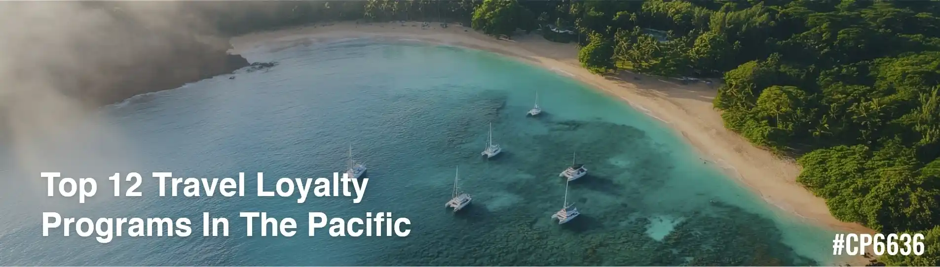 Best Loyalty Programs